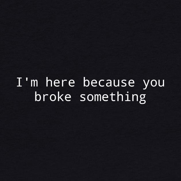 I'm here because you broke something by janpan